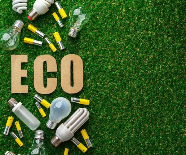 Lithium-Metal Battery อนาคตของรถยนต์พลังงานไฟฟ้า