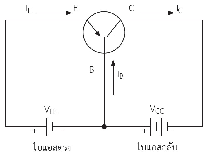 ทรานซิสเตอร์ (Transistor) คืออะไร มีหน้าที่อะไร และสามารถประยุกต์ใช้งานอะไรได้บ้างนะ - The Invention - จุดไฟความคิดสร้างสรรค์ในตัวคุณ ทรานซิสเตอร์ (Transistor) คืออะไร มีหน้าที่อะไร และสามารถประยุกต์ใช้งานอะไรได้บ้างนะ - The Invention - จุดไฟความคิดสร้างสรรค์ในตัวคุณ