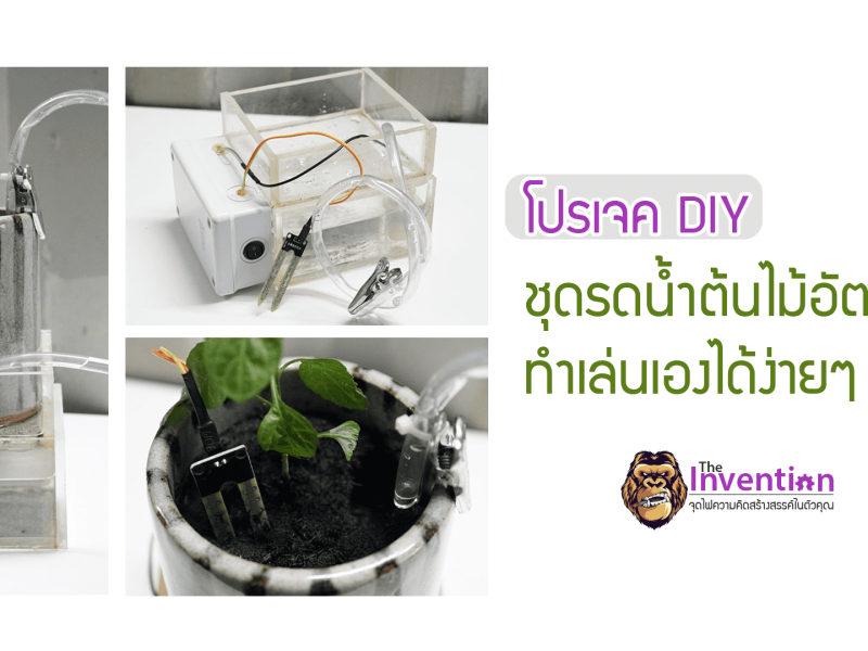 โปรเจค DIY : ชุดรดน้ำต้นไม้อัตโนมัติ ทำเล่นเองได้ง่ายๆ